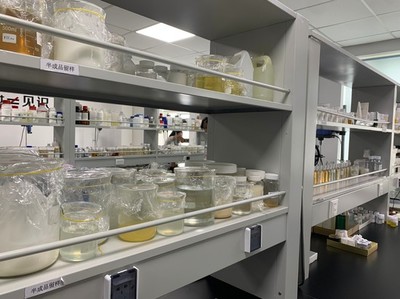 小康夢圓 | 留學歸國創業者鄭春陽 以“酶”為筆，在通信技術開發中書寫生物企業的創新故事